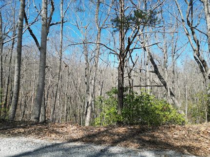 Homesite for sale in Cumberland County, Tennessee