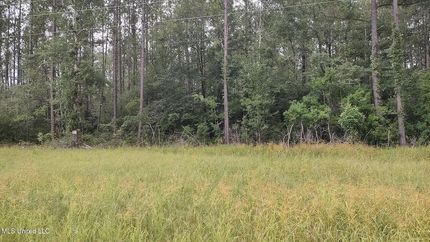 Land for sale in Pearl River County, Mississippi