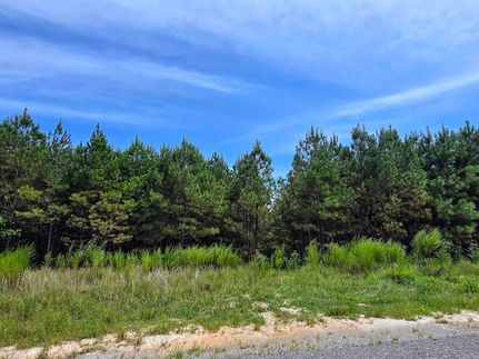 Land for sale in Winston County, Alabama