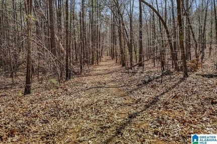 Land for sale in Shelby County, Alabama