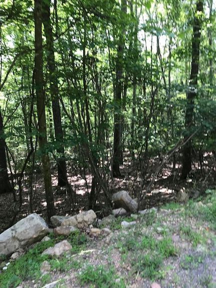 Homesite for sale in Highland County, Virginia