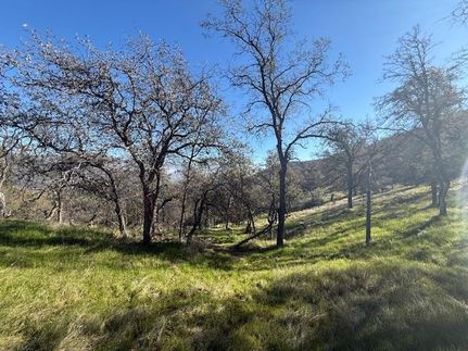 Land for sale in Fresno County, California