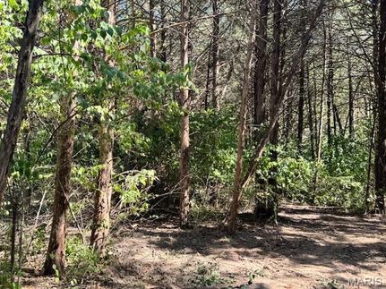 Land for sale in Warren County, Missouri