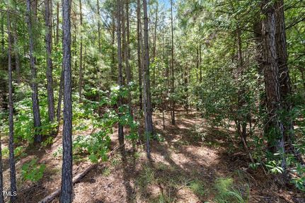 Homesite for sale in Granville County, North Carolina