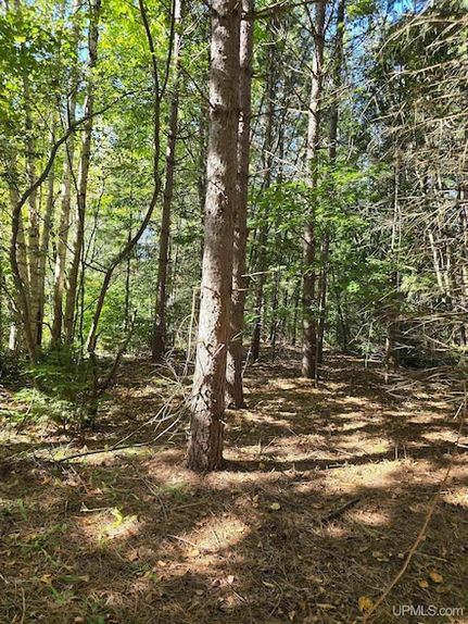Homesite for sale in Houghton County, Michigan