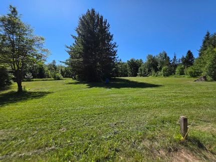 Land for sale in Chippewa County, Michigan