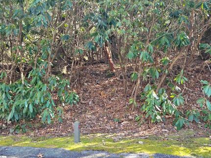 Land for sale in Greenville County, South Carolina