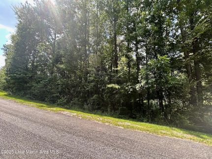 Homesite for sale in Tallapoosa County, Alabama