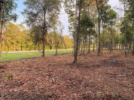 Land for sale in Flagler County, Florida