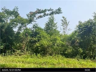 Land for sale in Grady County, Georgia