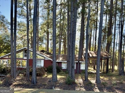 Land for sale in Tattnall County, Georgia