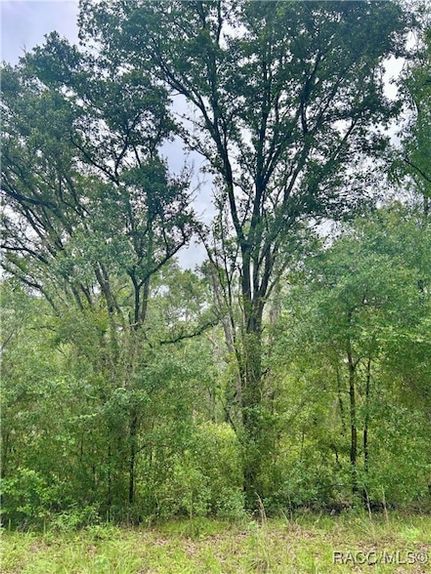 Homesite for sale in Citrus County, Florida