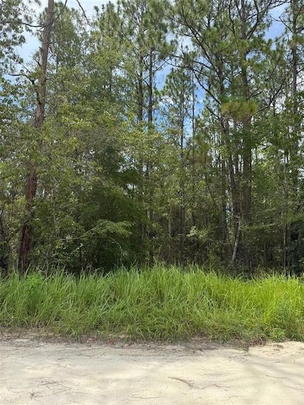 Land for sale in Marion County, Florida