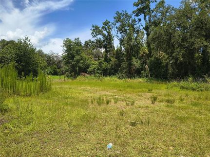 Land for sale in Hillsborough County, Florida