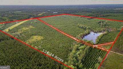 Land for sale in Appling County, Georgia
