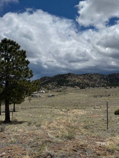 House for sale in Custer County, Colorado