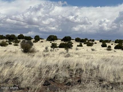 Homesite for sale in Apache County, Arizona