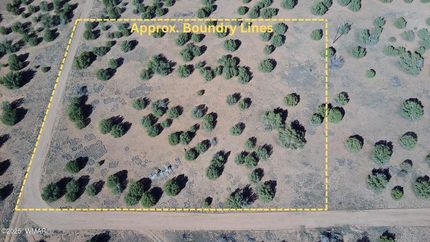 Land for sale in Navajo County, Arizona