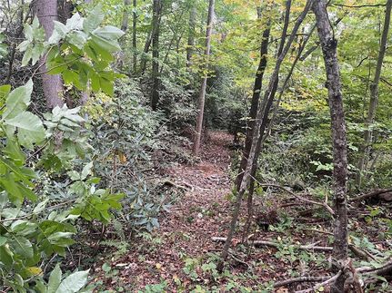 Land for sale in Buncombe County, North Carolina