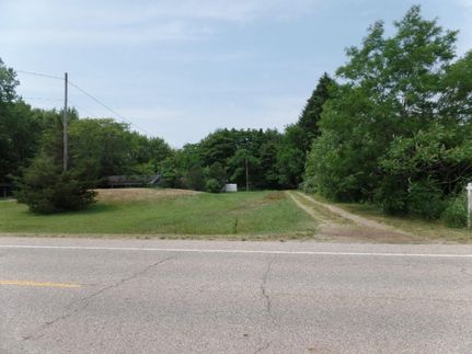 Undeveloped Land for sale in Allegan County, Michigan