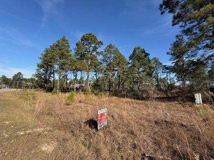 Land for sale in Montgomery County, Georgia