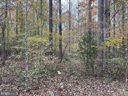 Land for sale in Spotsylvania County, Virginia