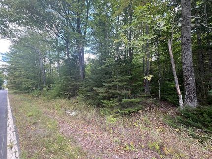 Land for sale in Piscataquis County, Maine