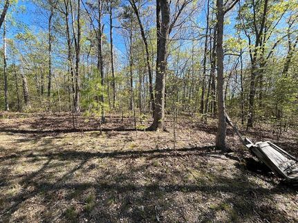 Land for sale in Whitfield County, Georgia