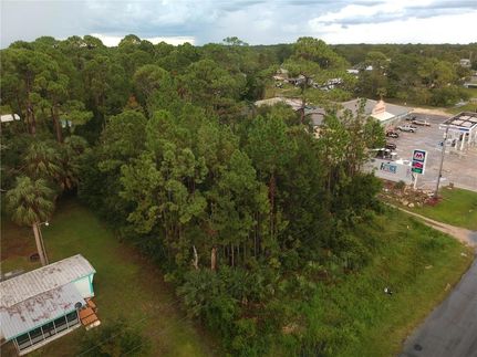 Land for sale in Taylor County, Florida