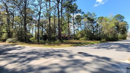 Homesite for sale in Wheeler County, Georgia