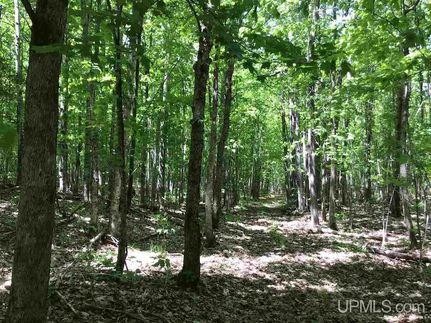 Land for sale in Marquette County, Michigan