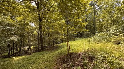 Undeveloped Land for sale in Lincoln County, Tennessee