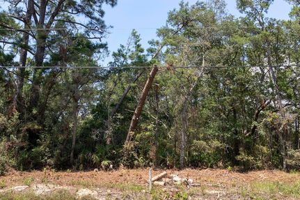 Land for sale in Walton County, Florida