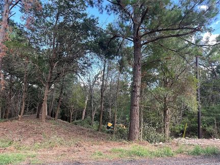 Homesite for sale in Bastrop County, Texas