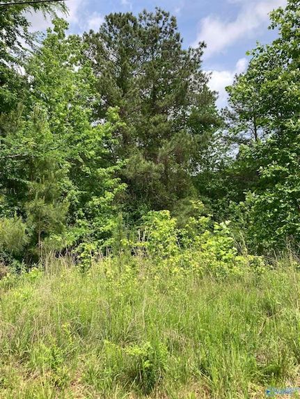 Land for sale in Morgan County, Alabama