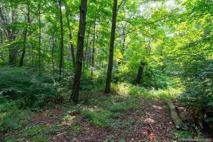 Land for sale in Litchfield County, Connecticut