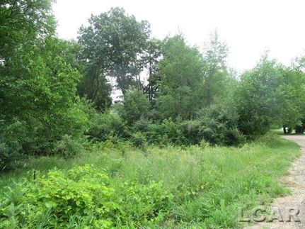 Land for sale in Hillsdale County, Michigan