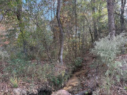 Land for sale in Macon County, Georgia