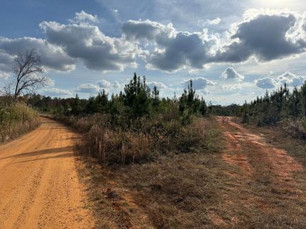 Land for sale in Randolph County, Georgia