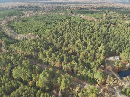 Land for sale in Ouachita County, Arkansas