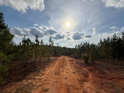 Land for sale in Randolph County, Georgia