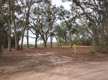 Undeveloped Land for sale in Suwannee County, Florida