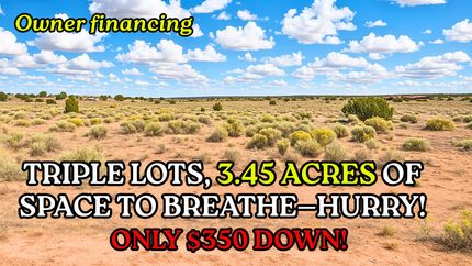 Undeveloped Land for sale in Apache County, Arizona