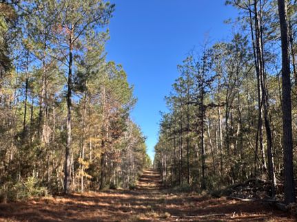 Timberland Property for sale in Wayne County, Mississippi
