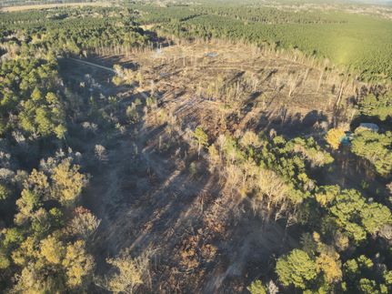 Land for sale in Calhoun County, Arkansas