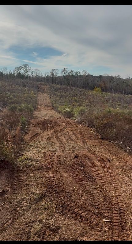 Land for sale in Marengo County, Alabama