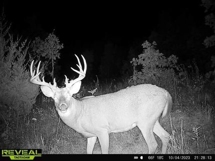 Land for sale in Ralls County, Missouri