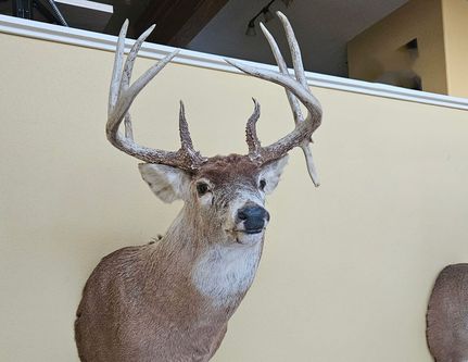 Land for sale in Keokuk County, Iowa