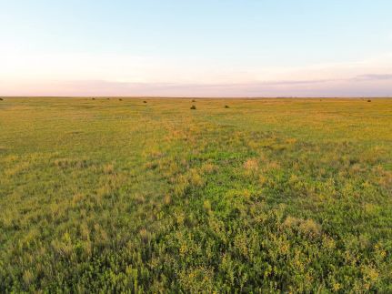 Land for sale in Pawnee County, Kansas