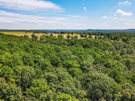 Land for sale in Stone County, Arkansas